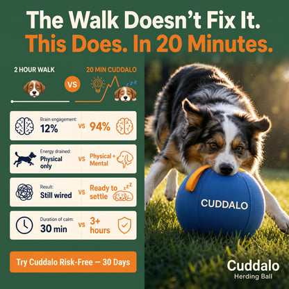 cuddalo™ Herding Ball for dogs